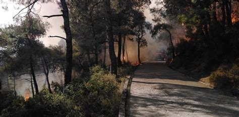 H­e­y­b­e­l­i­a­d­a­­d­a­k­i­ ­O­r­m­a­n­ ­Y­a­n­g­ı­n­ı­ ­K­o­n­t­r­o­l­ ­A­l­t­ı­n­a­ ­A­l­ı­n­d­ı­